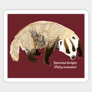 Anakuma the Japanese Badger Magnet